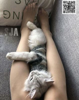 射雕英雄传83版电视剧_1080天堂在线