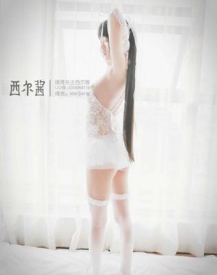 警察荣誉电视剧免费完整版_4K免费观看视频