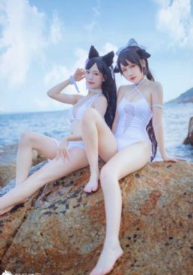 《荒岛求生》在线观看_影视大全在线观看
